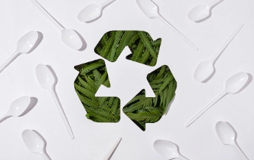 controllo qualità carta termica