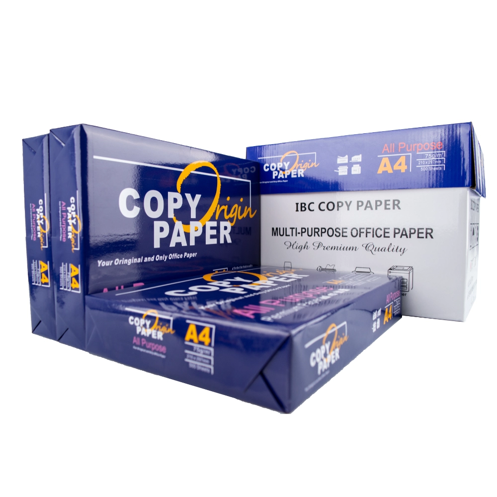 Carta da copia formato A4 70 g/m² forniture aziendali