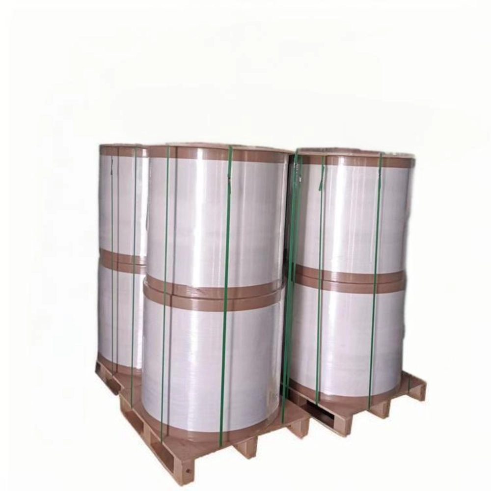 BPA Gratuito Di Alta Qualità Registratore Di Cassa Ricevuta Stampa Jumbo Rolls