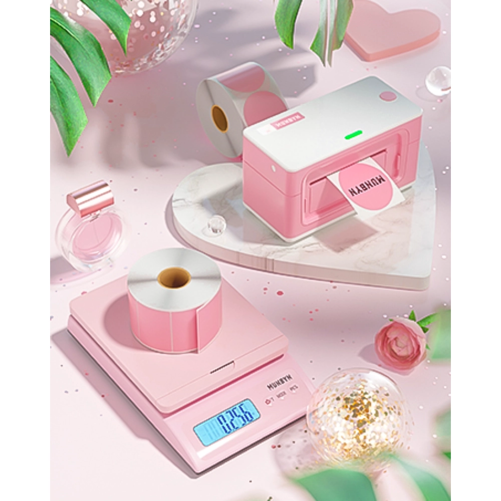 Etichetta a trasferimento termico 4*6 A6 100*150 millimetri